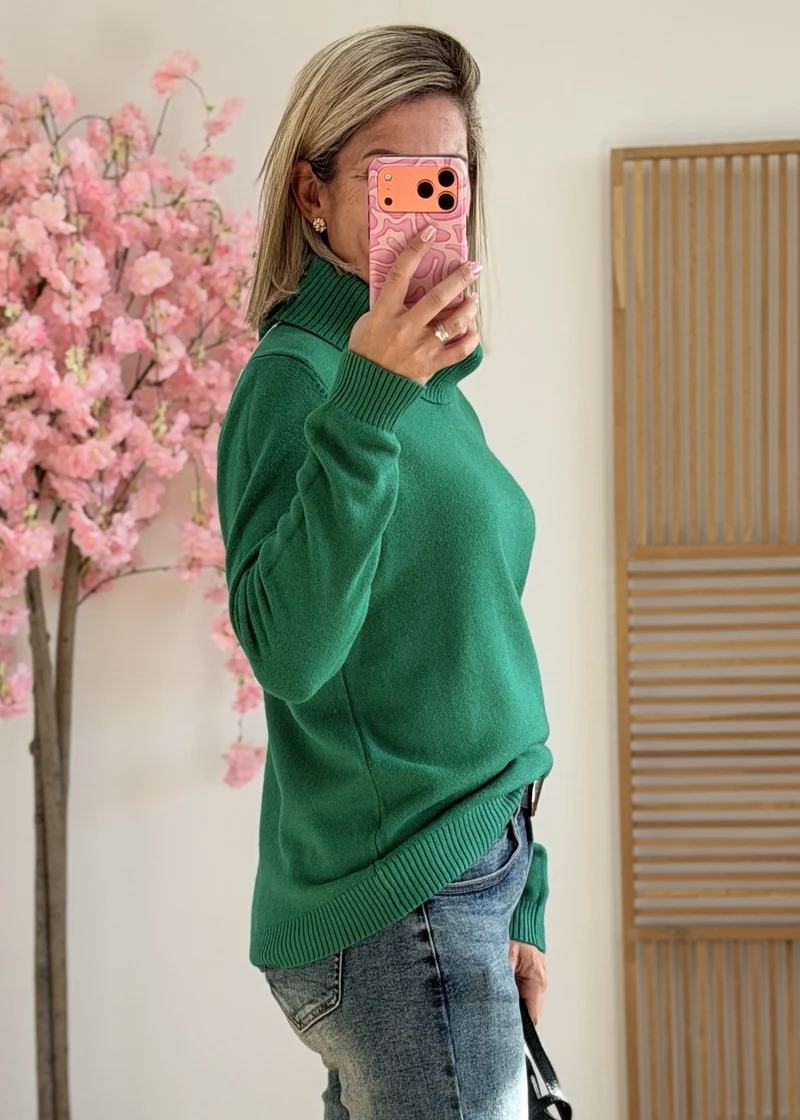Pull col cheminée vert