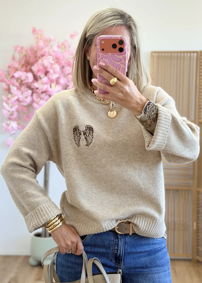 Pull avec ailes brodées