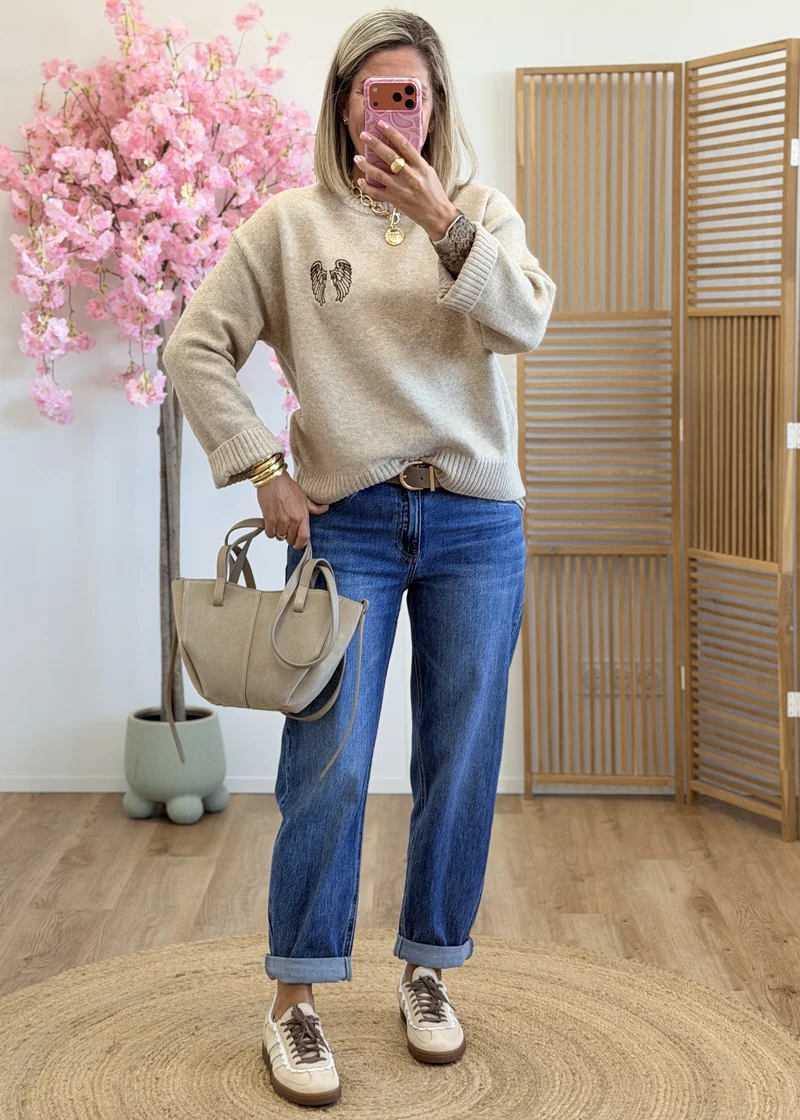 Pull avec ailes brodées
