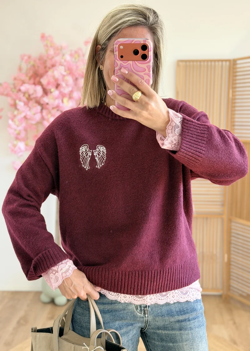 Pull avec ailes brodées