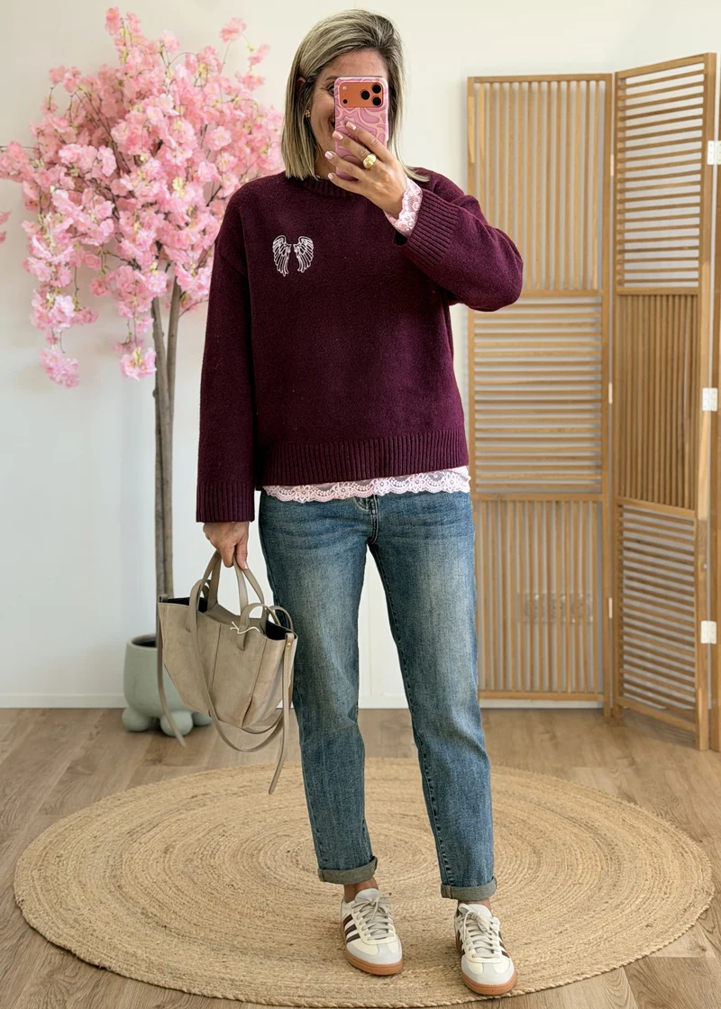 Pull avec ailes brodées
