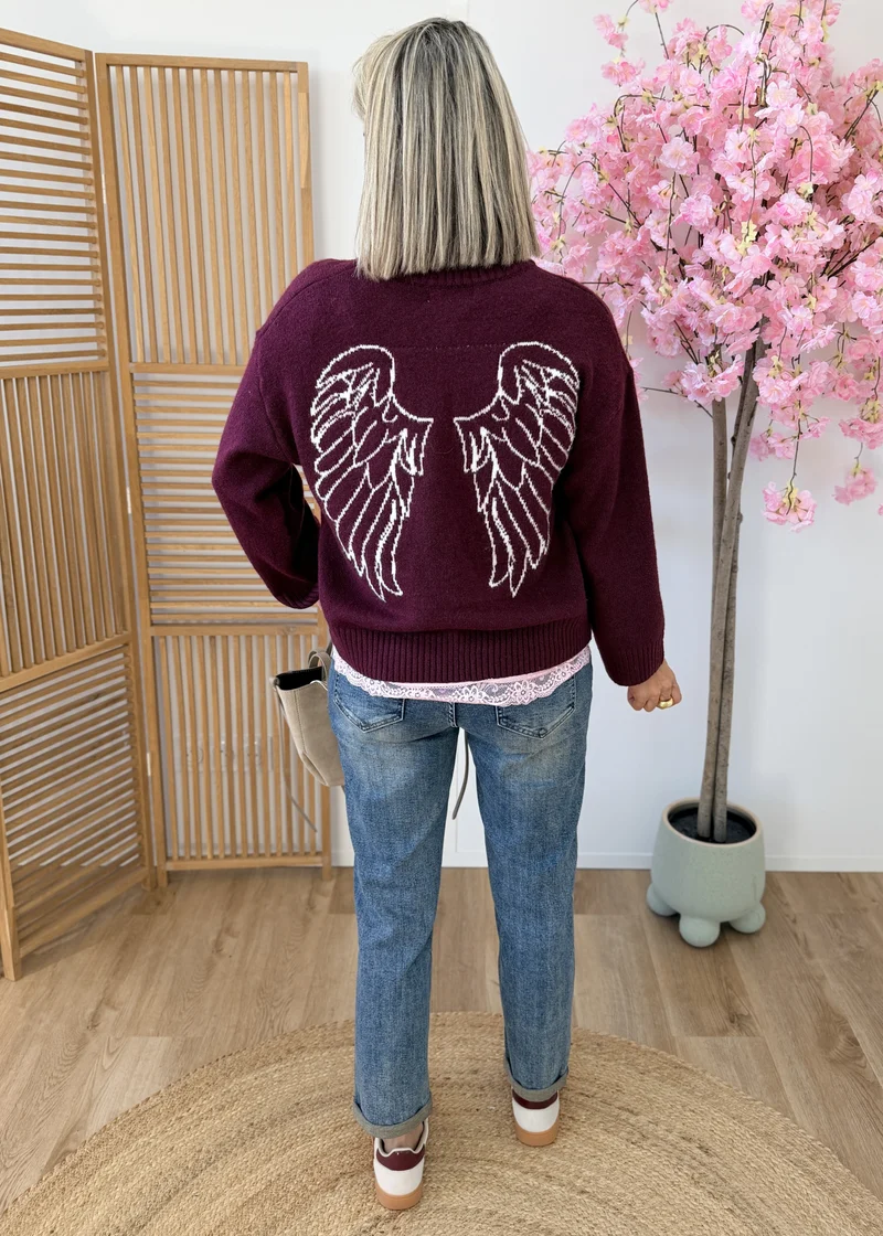 Pull avec ailes brodées