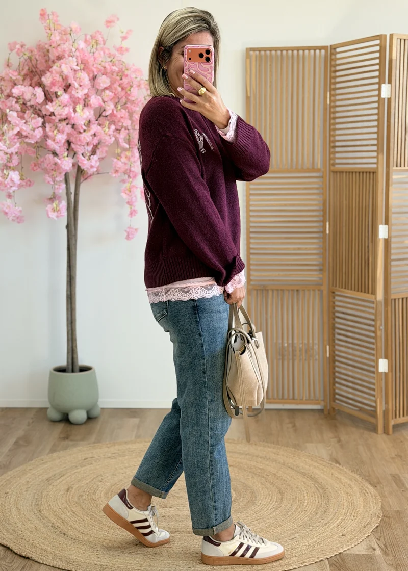 Pull avec ailes brodées