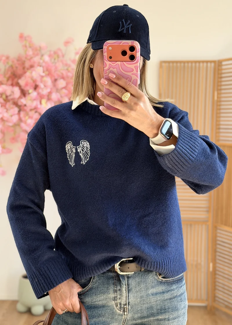 Pull avec ailes brodées