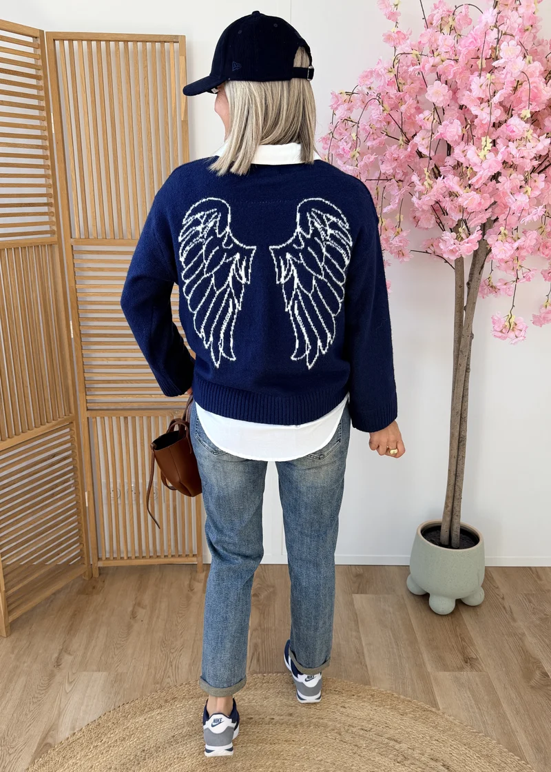 Pull avec ailes brodées