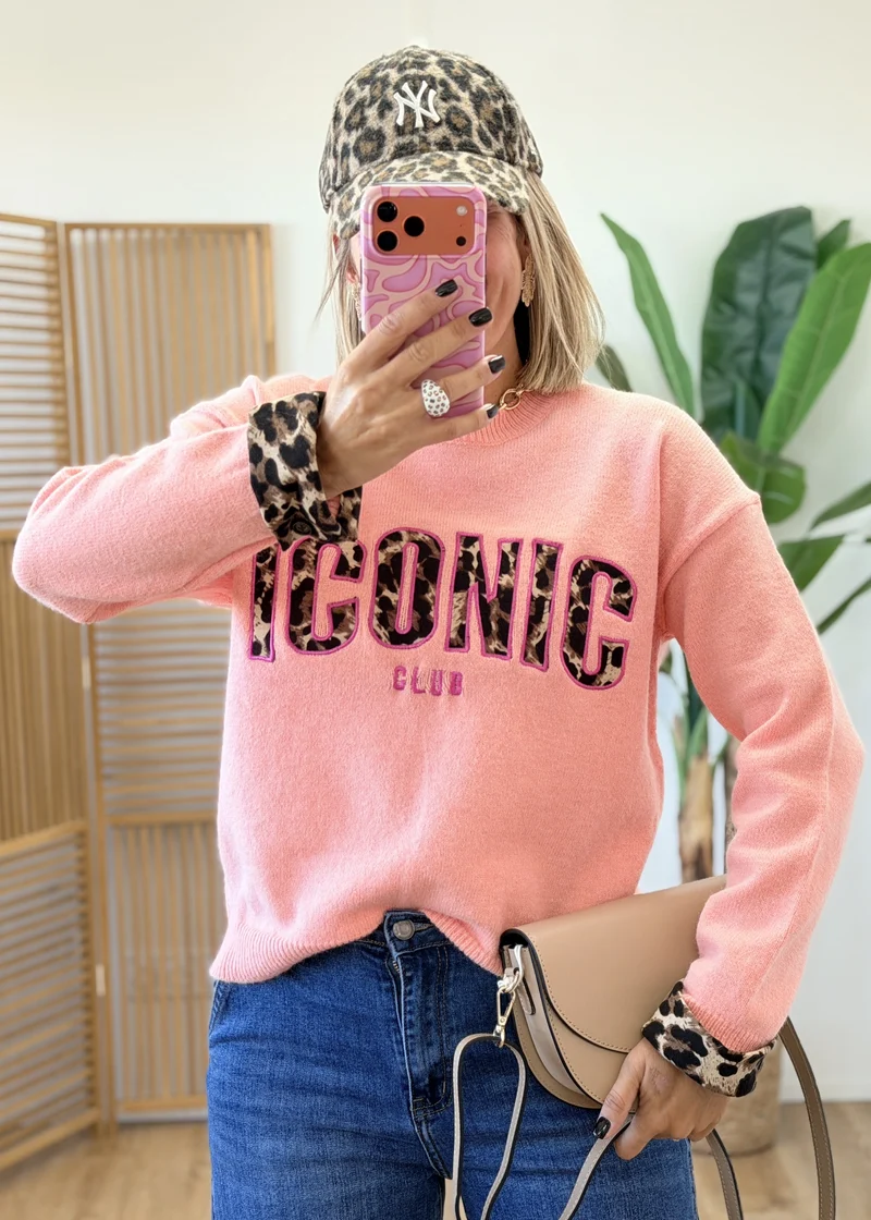 Pull Iconic manches léopard - hyper doux