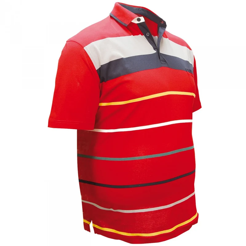 Polo coton mercerisé coupe droite PETER Doublissimo