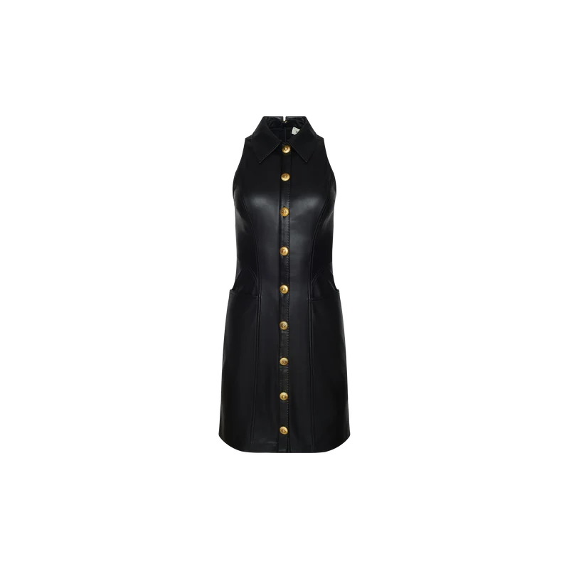 Apolline Vegan Leather Dress
