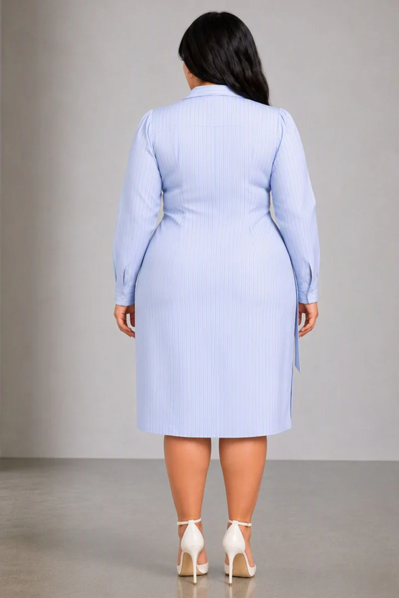 Selva|Viscose High Low Shirt Dress