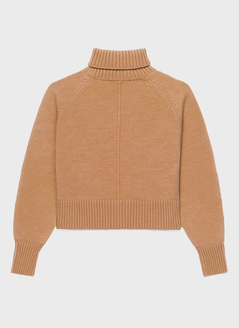 PULL LAMELY camel