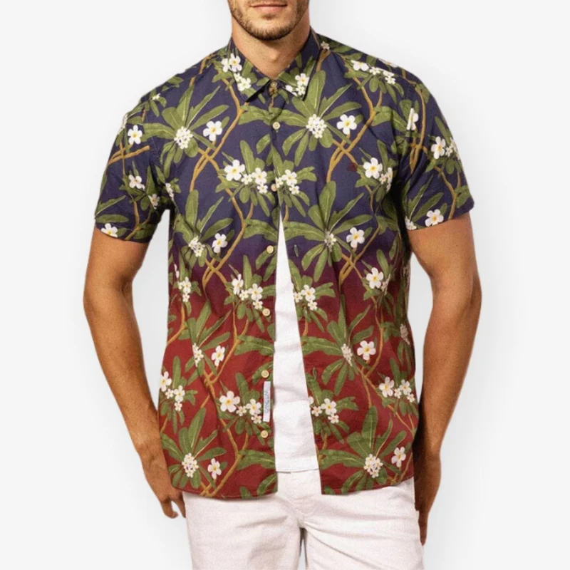 Chemise Manches Courtes À Imprimé Fleuri Et Dégradé