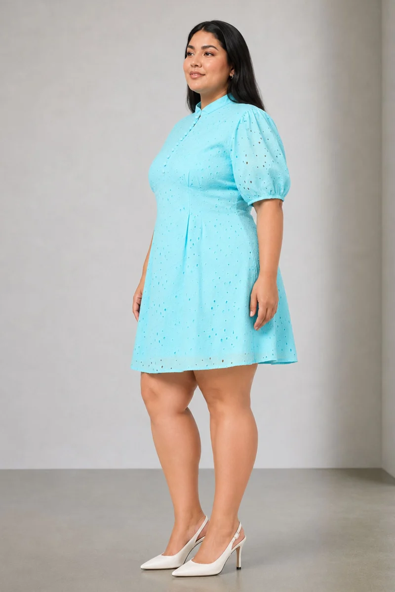 Romina|100% Cotton Fit & Flare Schiffli Dress