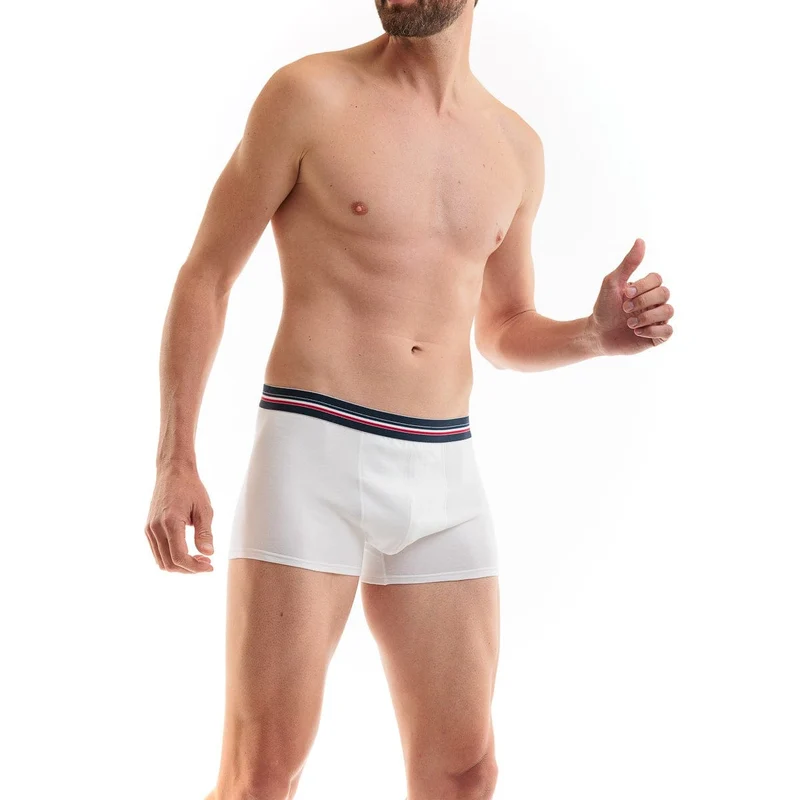Boxer français blanc