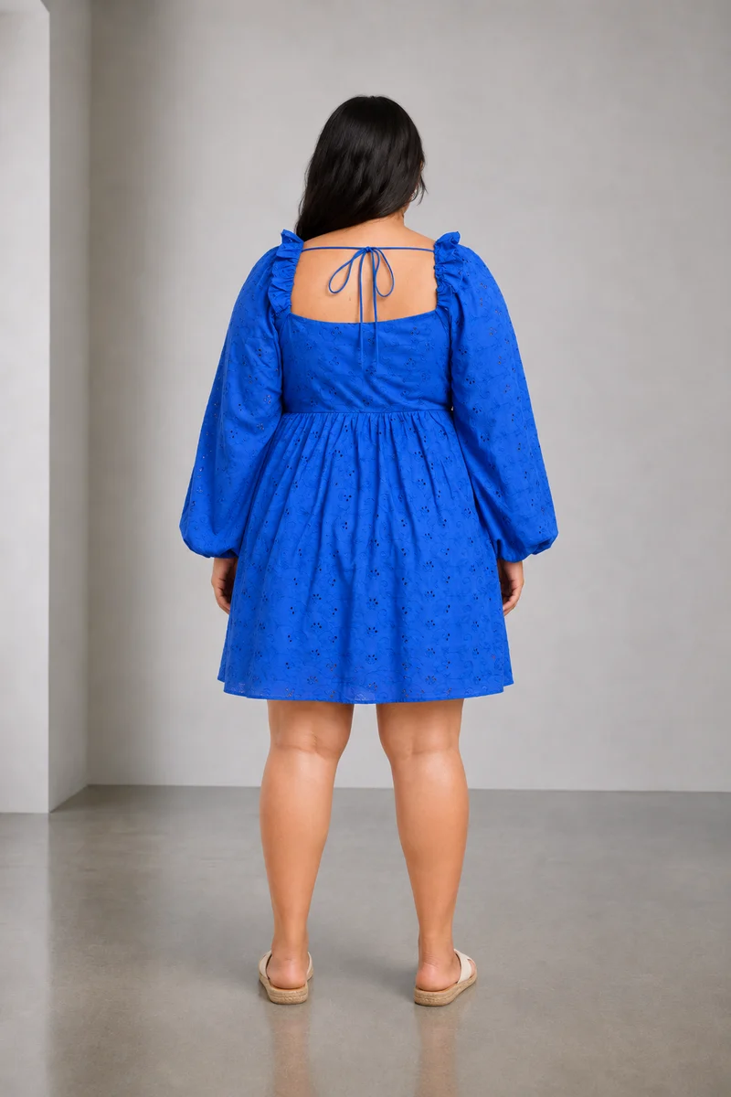 Eshsha|100% Cotton Schiffli Mini Dress