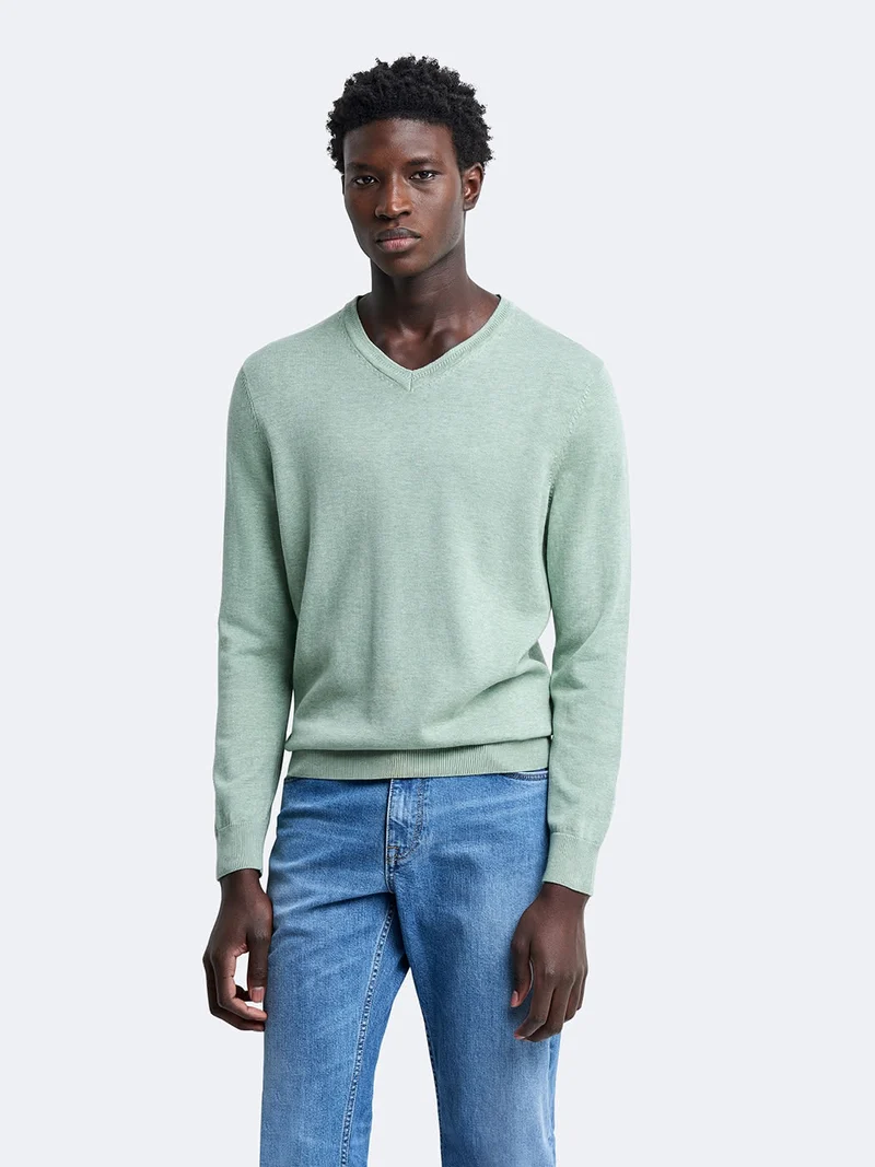 Pull col V en coton bio