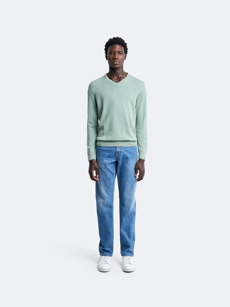Pull col V en coton bio