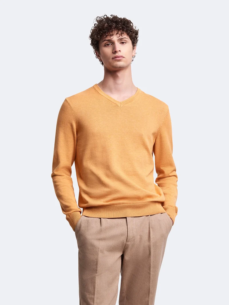 Pull col V en coton bio