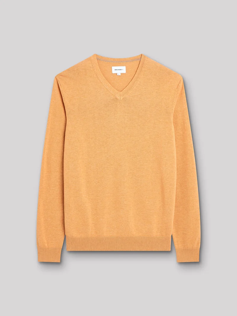 Pull col V en coton bio