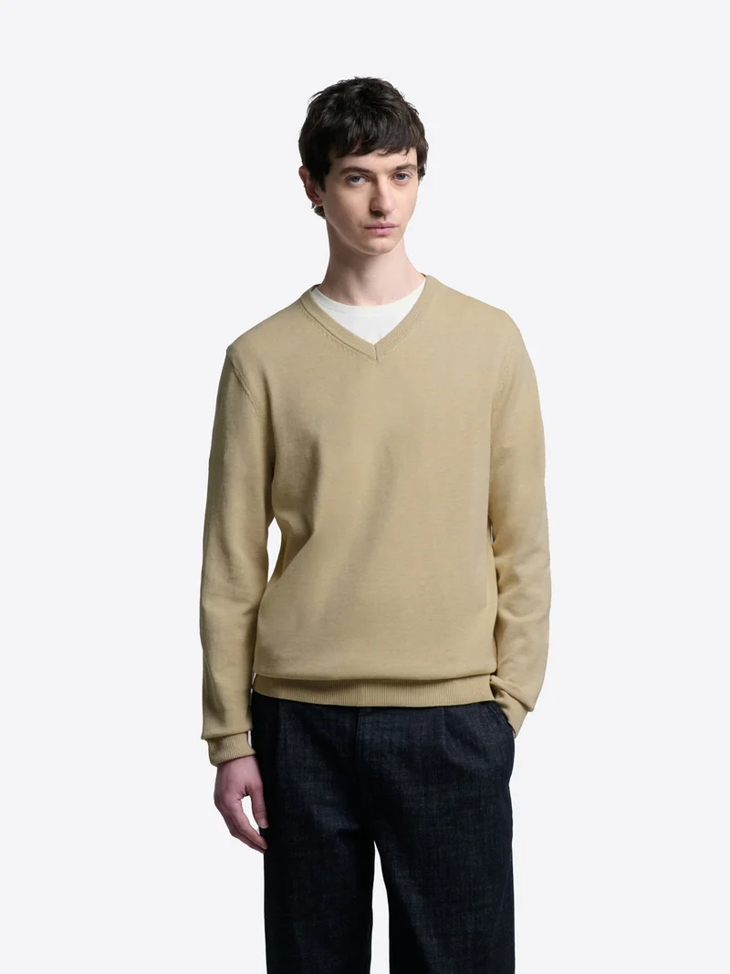 Pull col V en coton bio