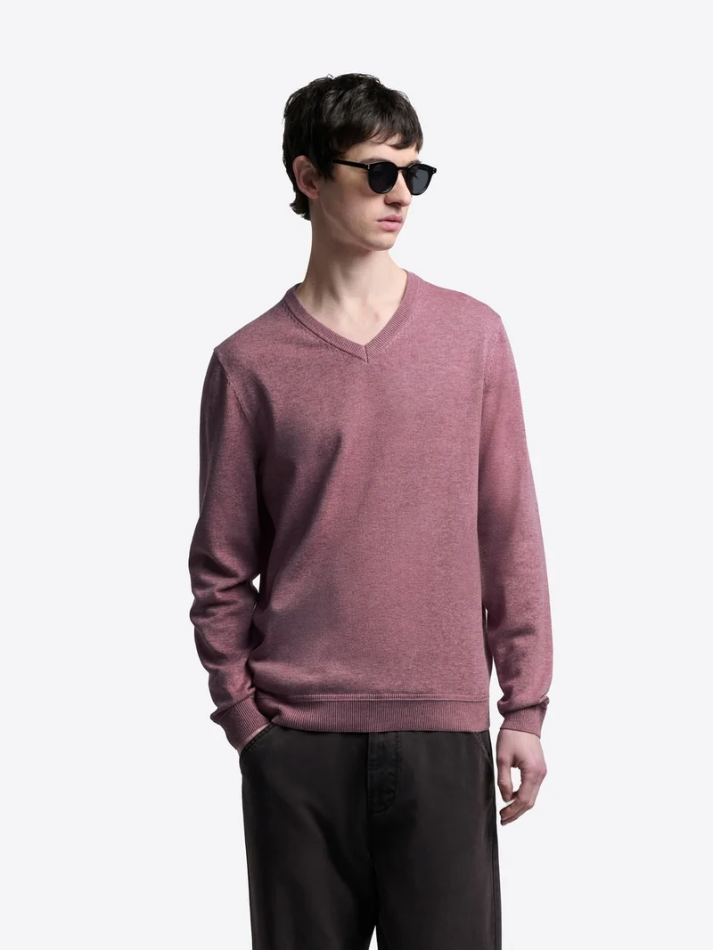 Pull col V en coton bio