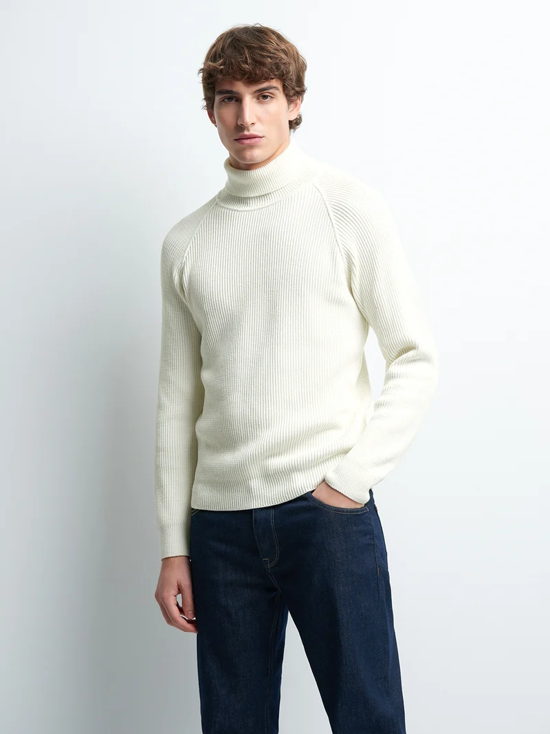 Pull col roulé