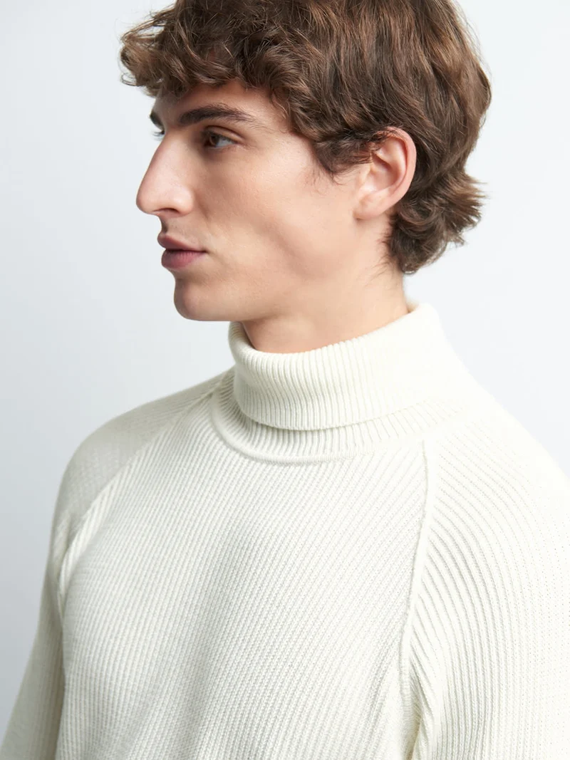 Pull col roulé