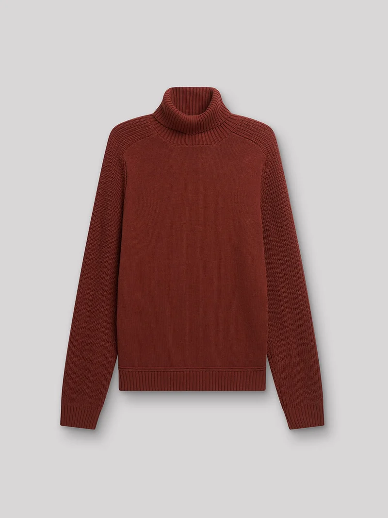 Pull col roulé en coton cachemire