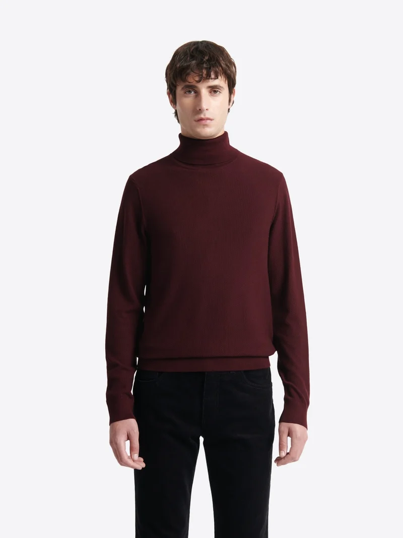 Pull col roulé en jacquard