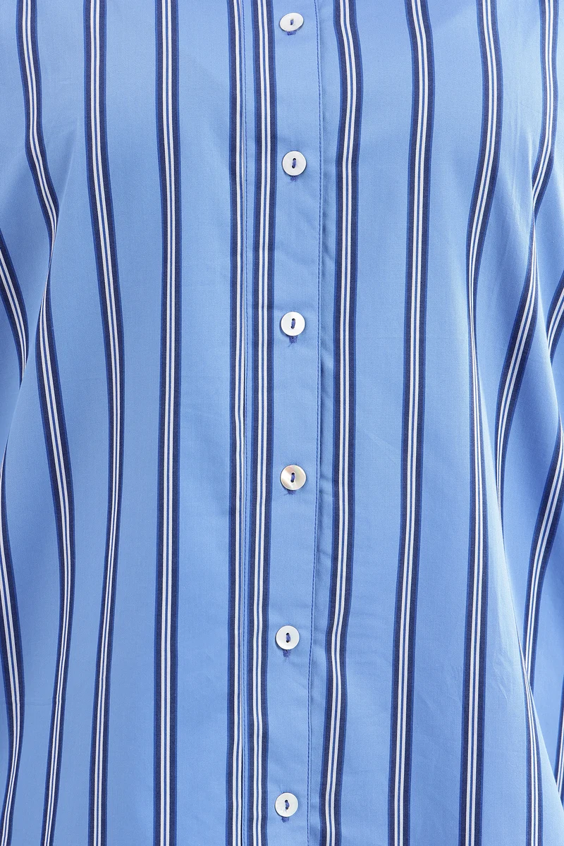 Cary|100% Cotton Blue Striped Regular Shirt