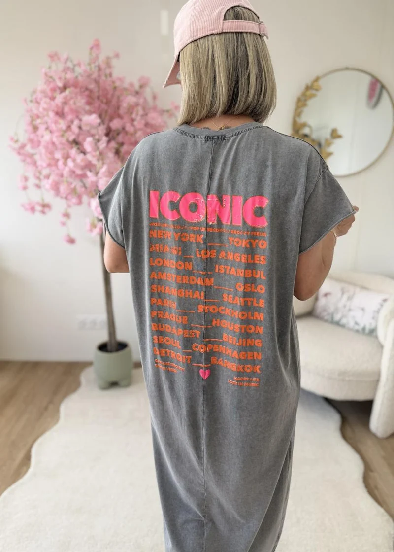 Robe T shirt iconic gris clair