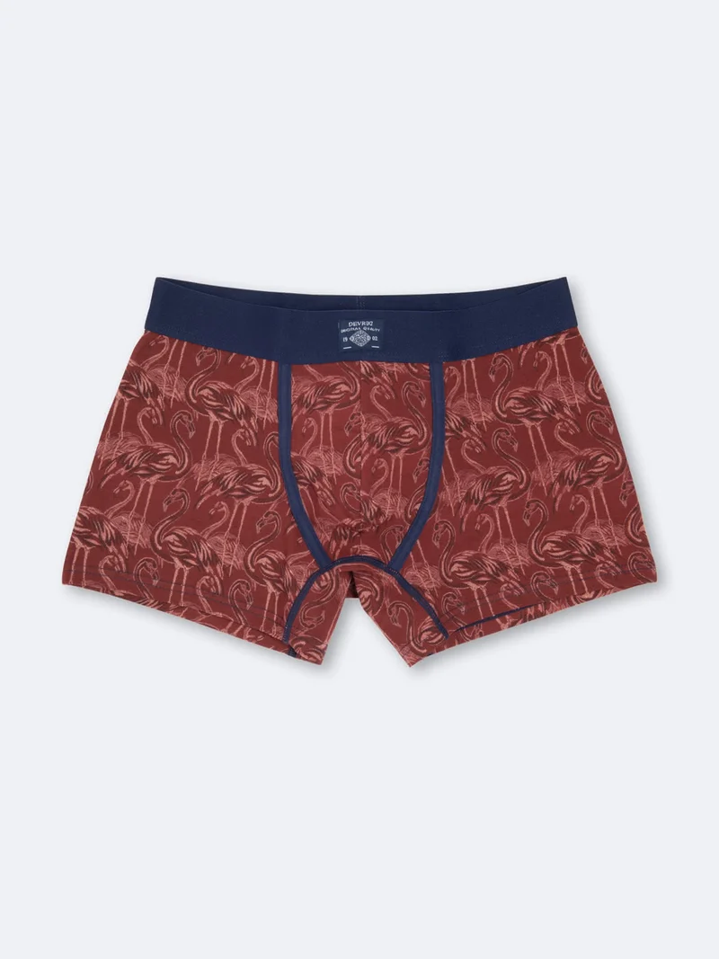Boxer fantaisie en coton élasthanne