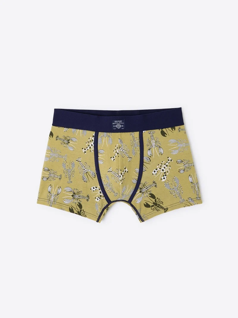 Boxer fantaisie en coton biologique