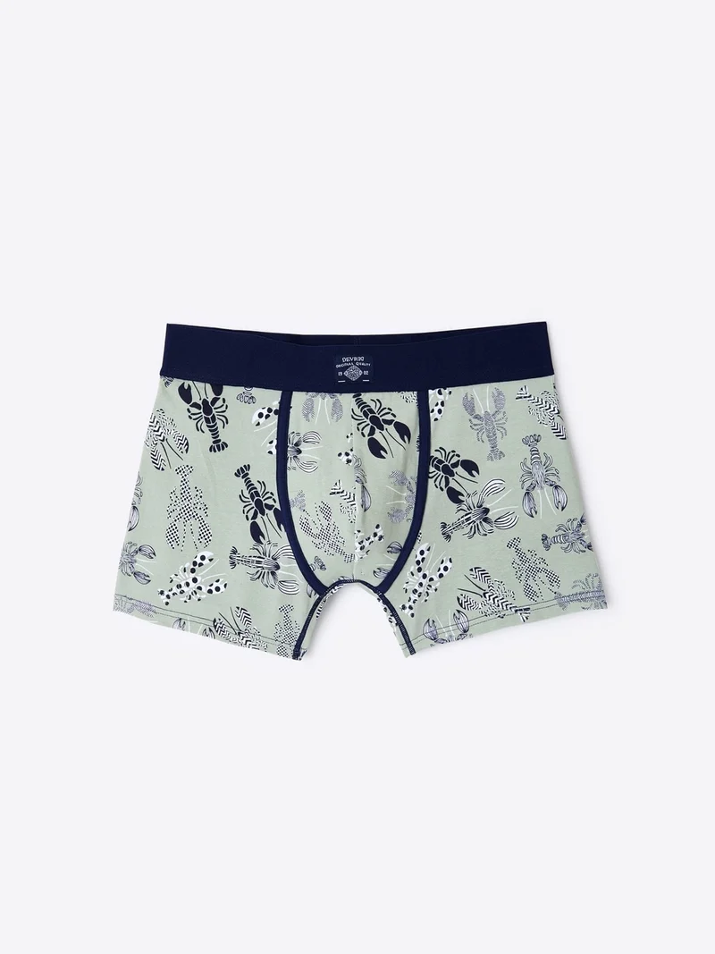 Boxer fantaisie en coton biologique