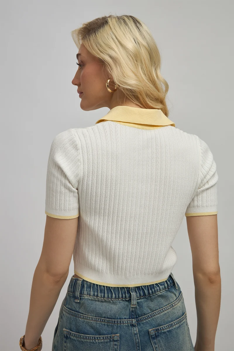 Sasha|Viscose Shirtcollar Fitted Knit Crop Top