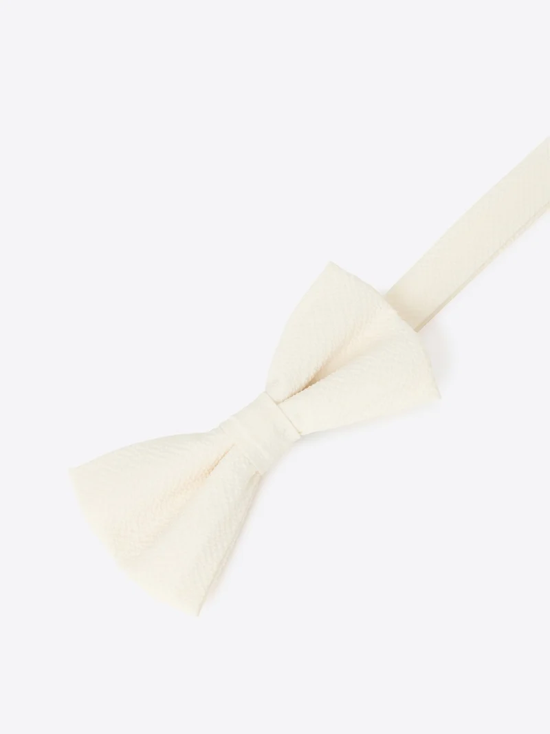 Nœud papillon en seersucker