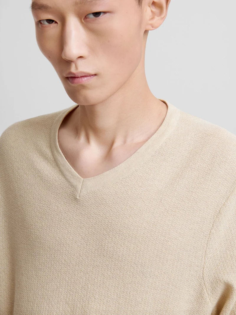 Pull col V en coton bio