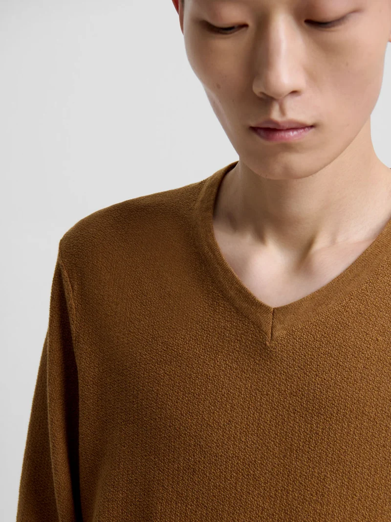 Pull col V en coton bio