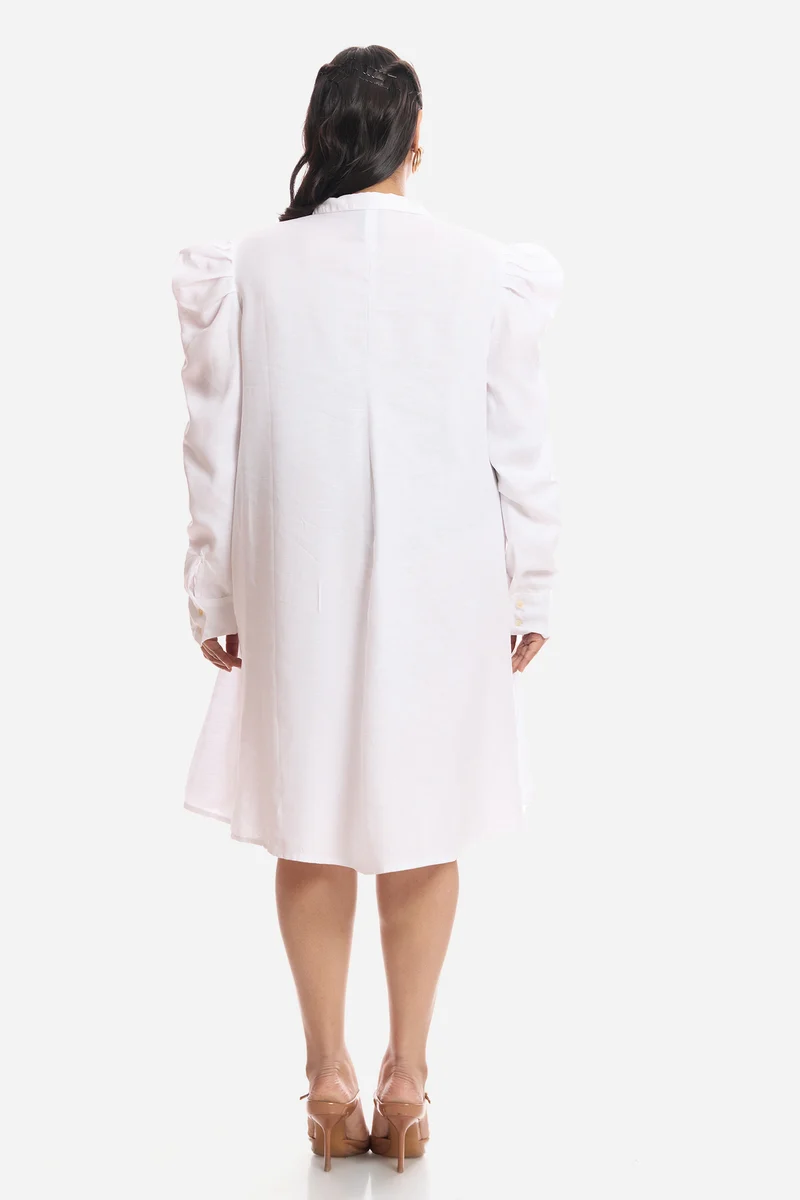 Anara|Viscose Aline Dress With Mutton Sleeves